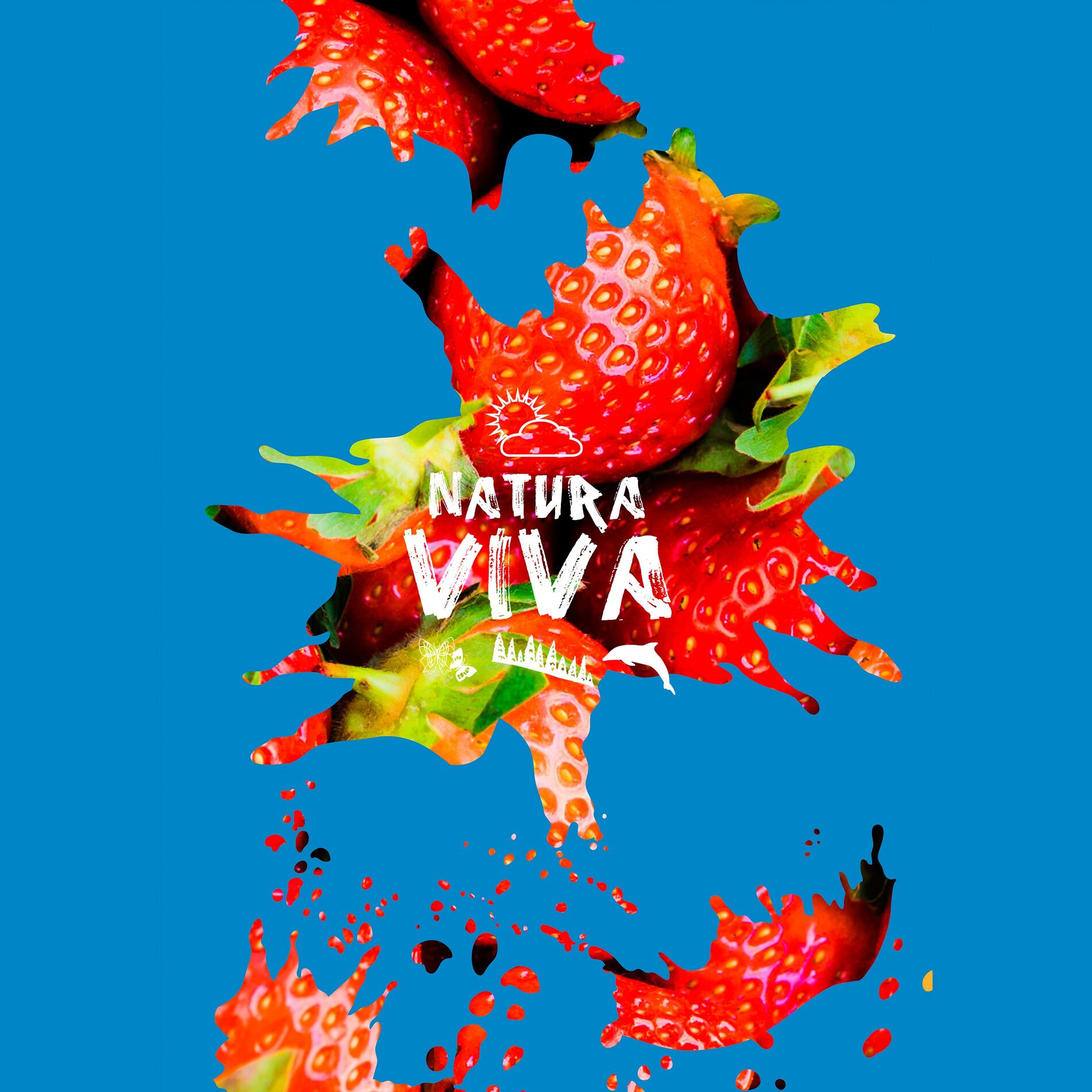 Album cover of Pulsenote