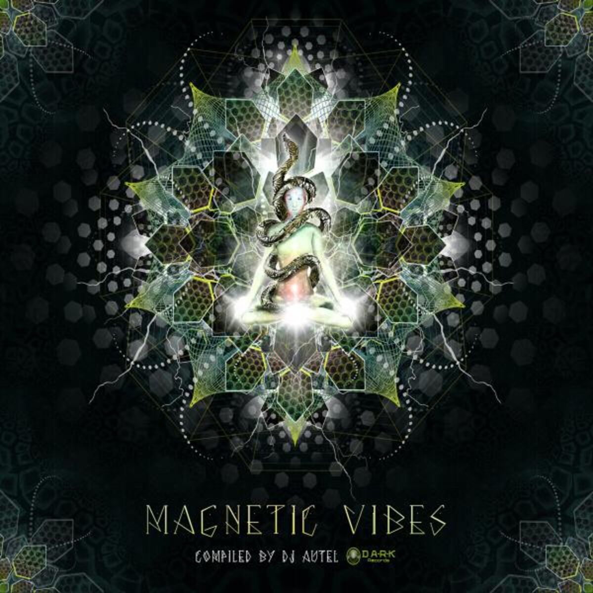 Album cover of Magnetic Vibes