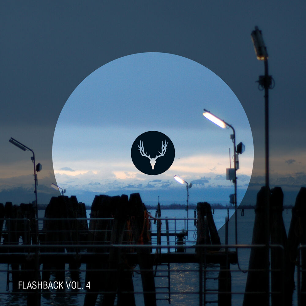 Picture of Flashback Vol. 4