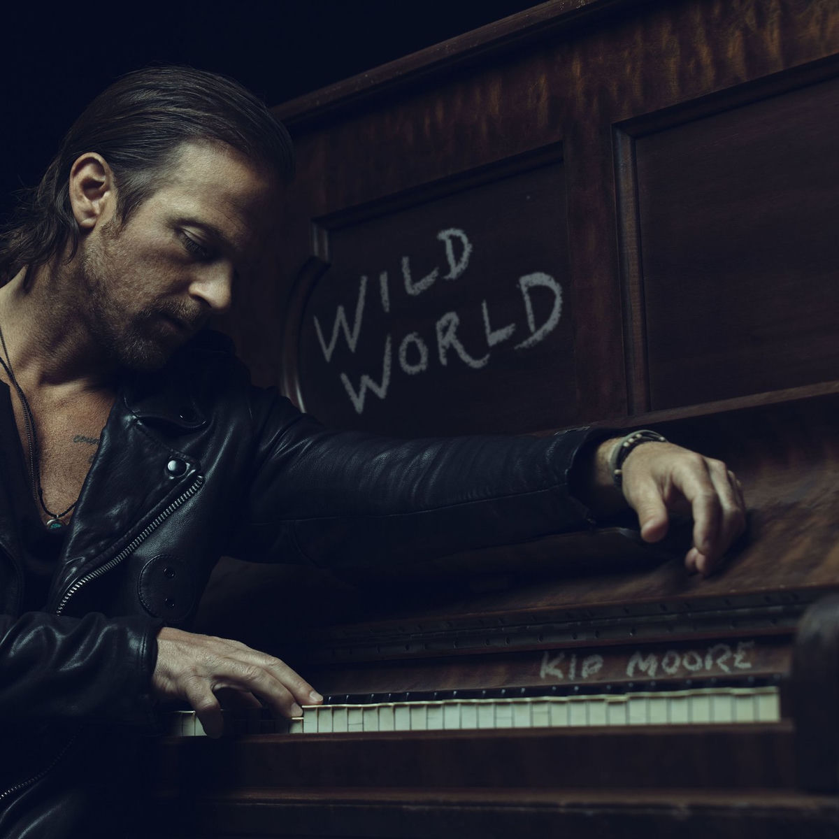 Album picture of Wild World