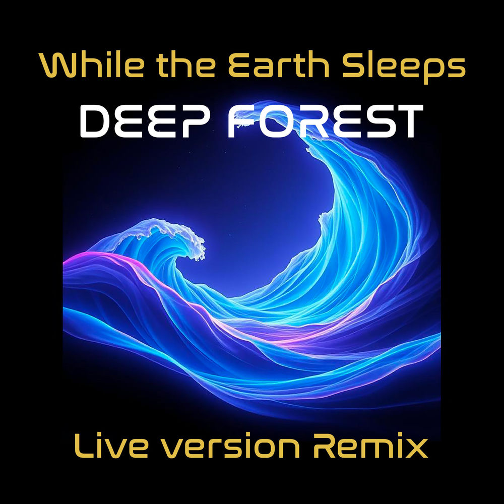While the Earth Sleeps (Live Version Remix) cover
