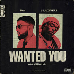 Cover of Wanted You