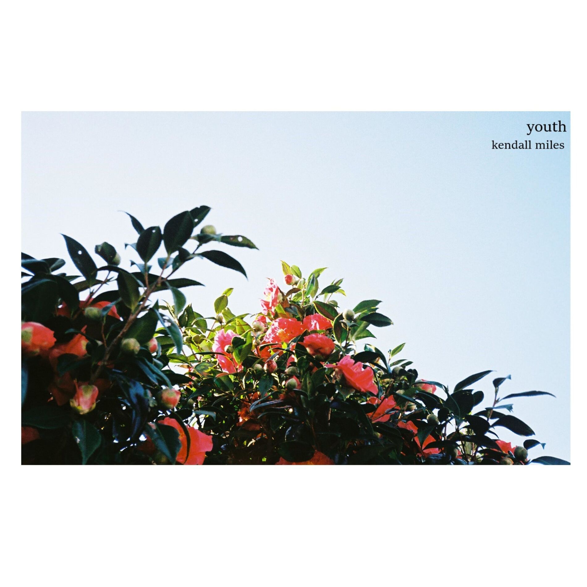 Album cover of Youth