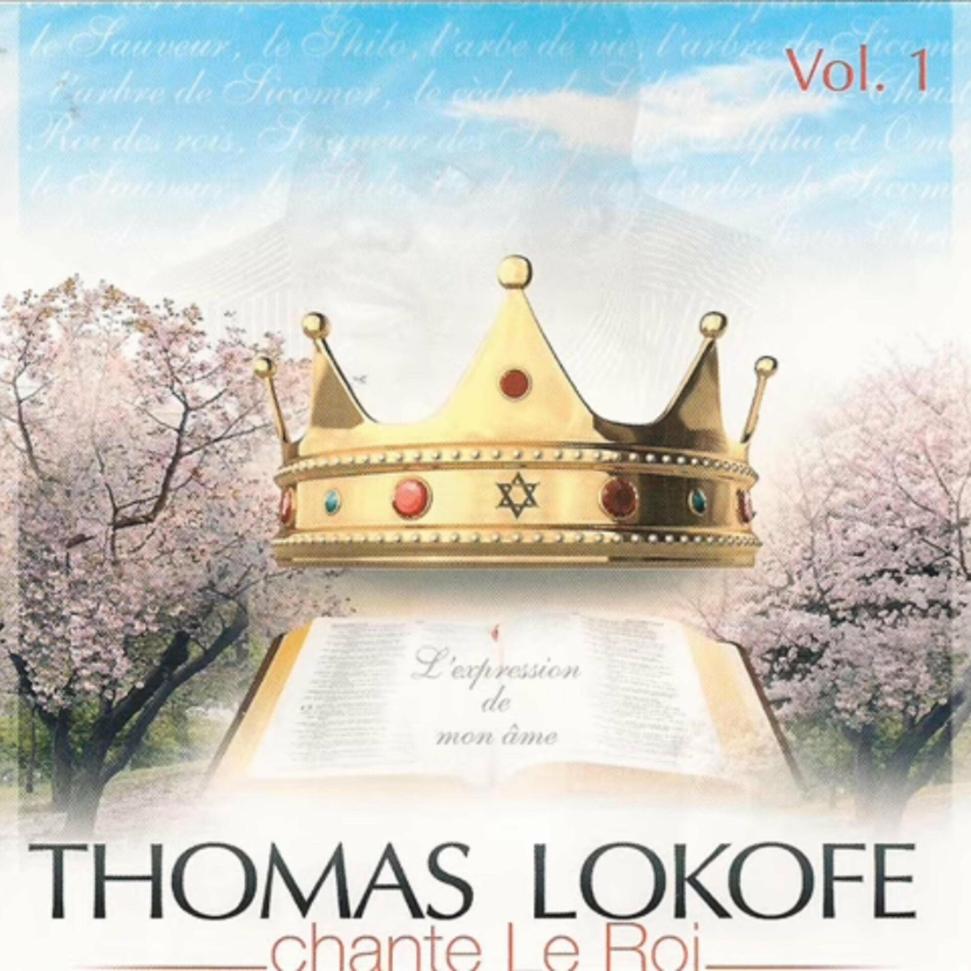 Album cover of Chante Le Roi