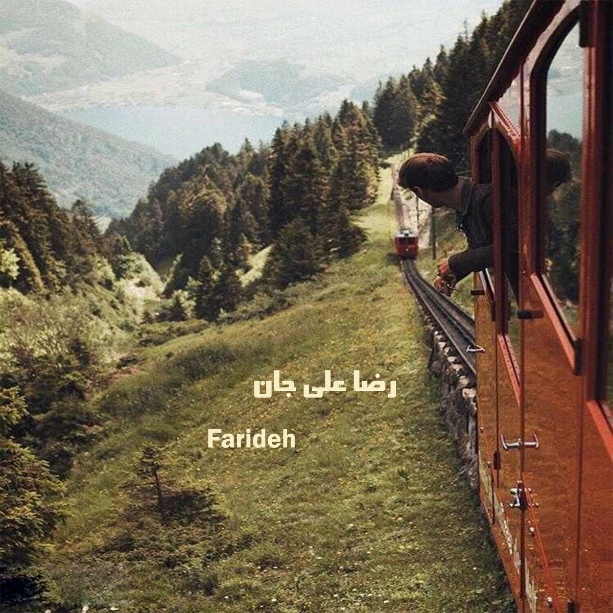 Album cover of رضا علی جان