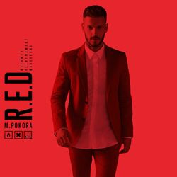 Cover of R.E.D. (Rythmes Extrêmement Dangereux)