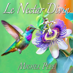 Pochette album