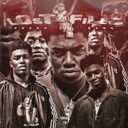 Cover of Lost Files