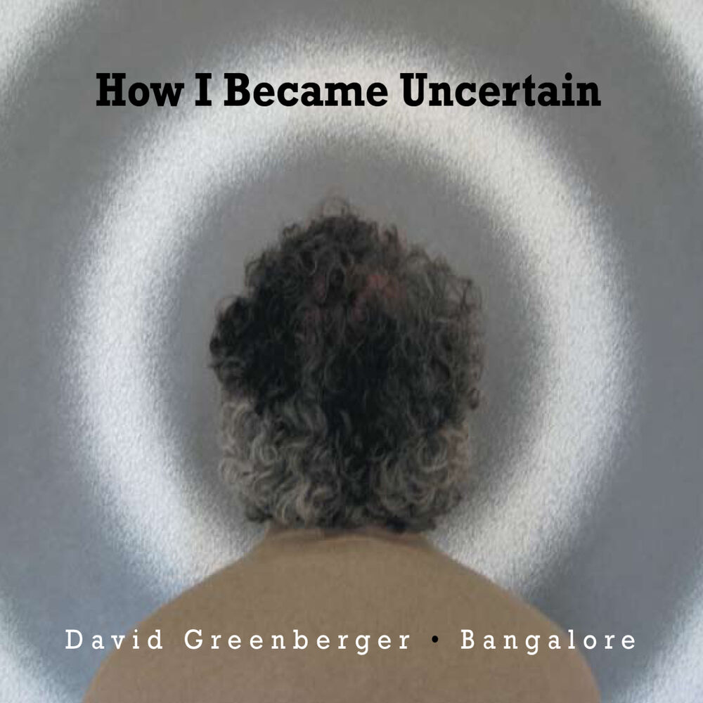 Picture of How I Became Uncertain