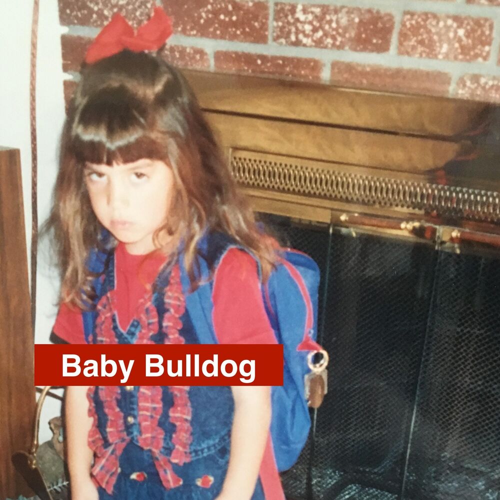 Picture of Baby Bulldog