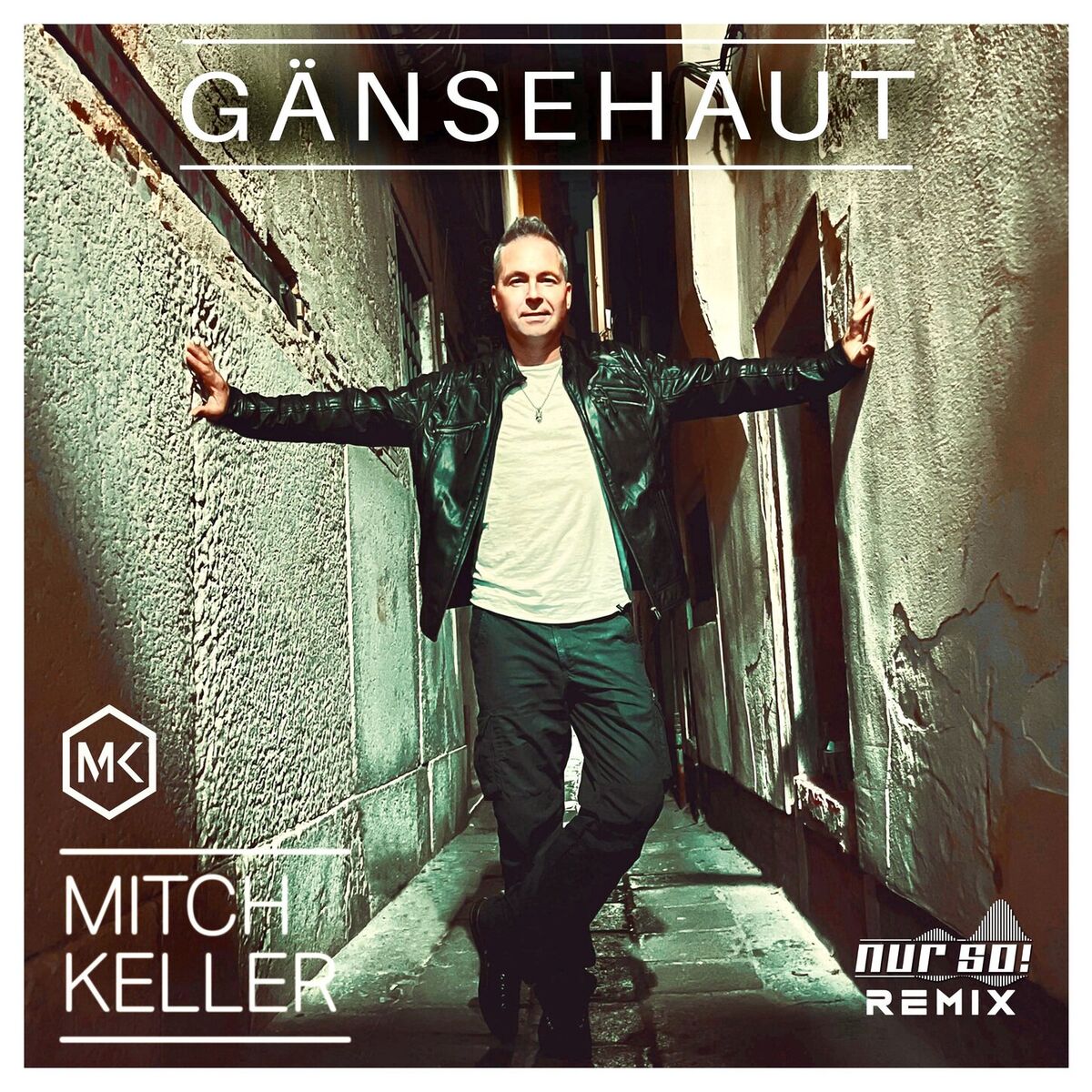 Album cover of Gänsehaut (Nur so! Remix)