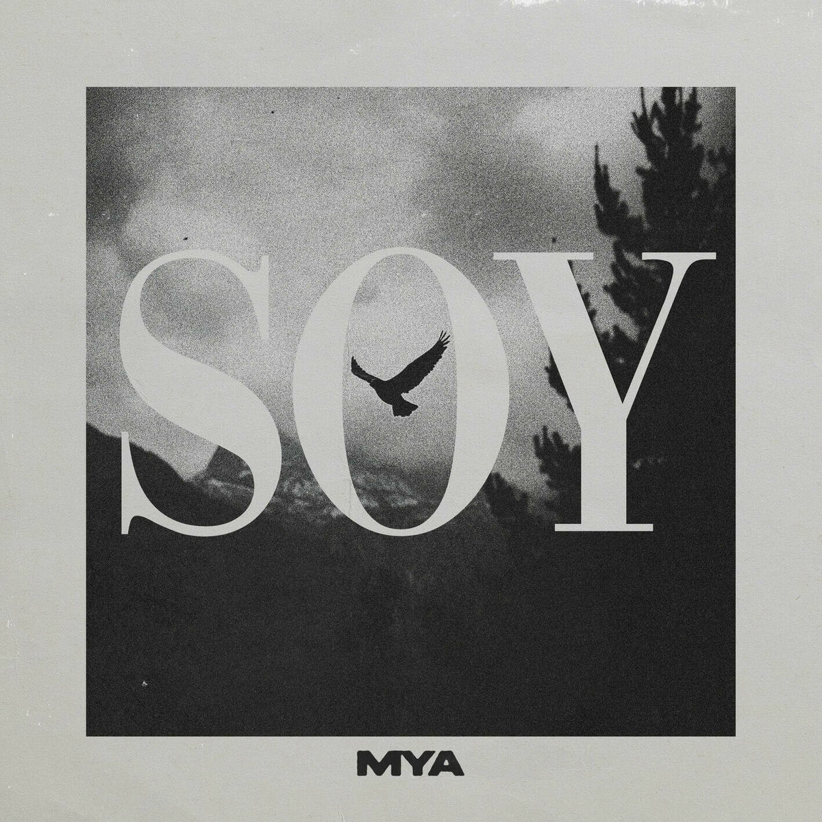 Album cover of SOY