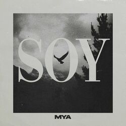 Cover of SOY