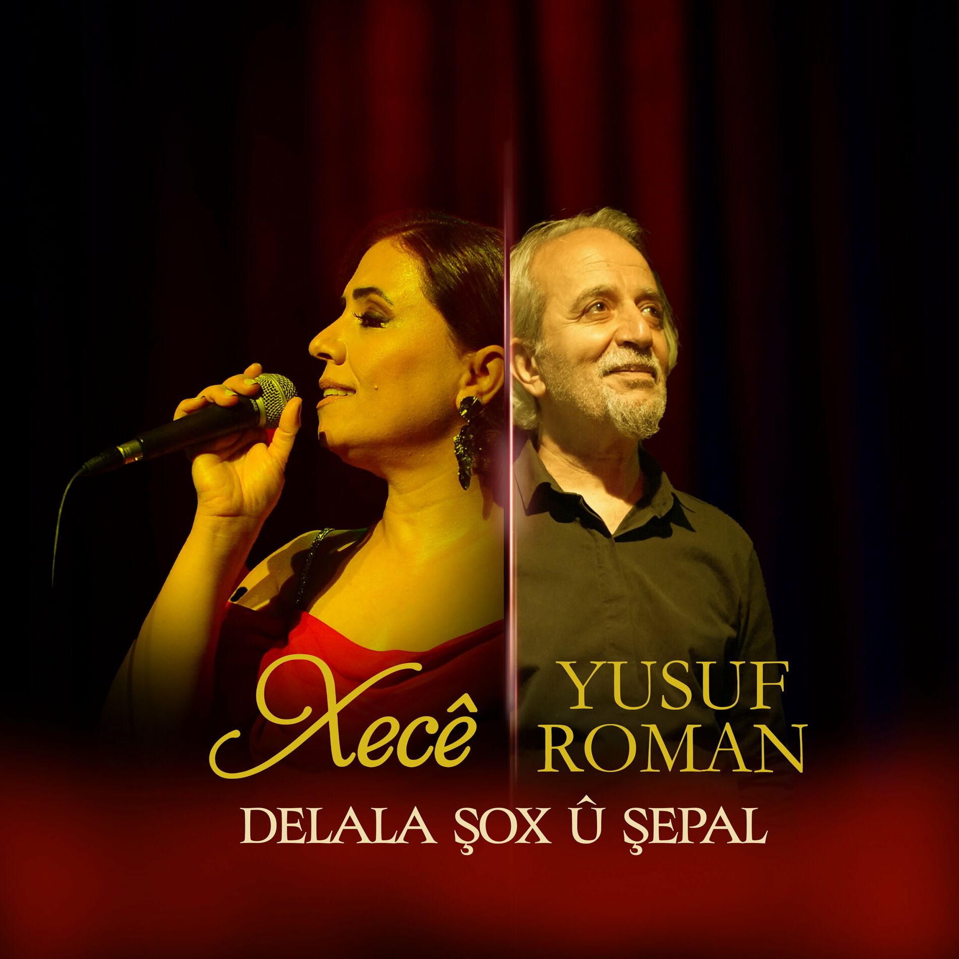 Album cover of Delala Şox û Şepal