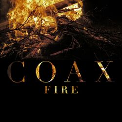 Cover of Fire