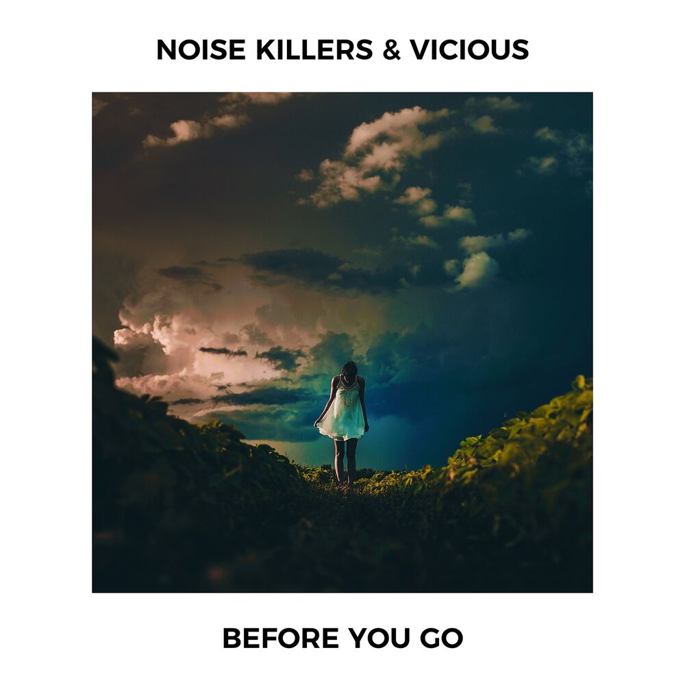 Picture of Before You Go
