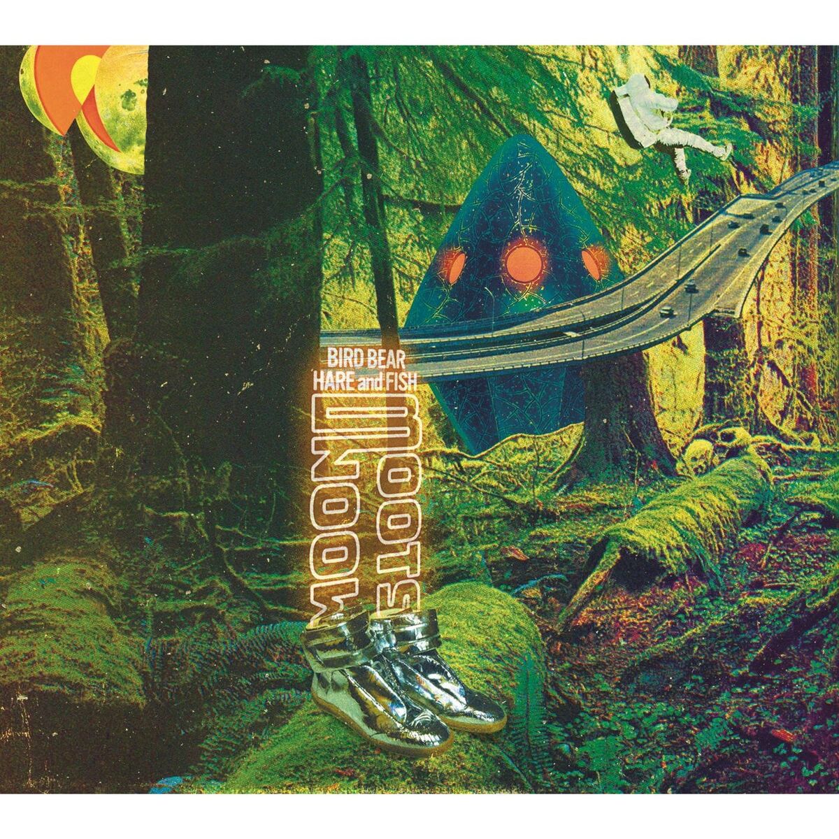 Album cover of Moon Boots