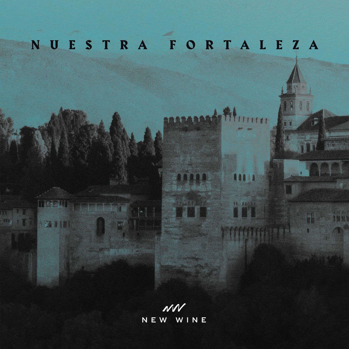 Album cover of Nuestra Fortaleza