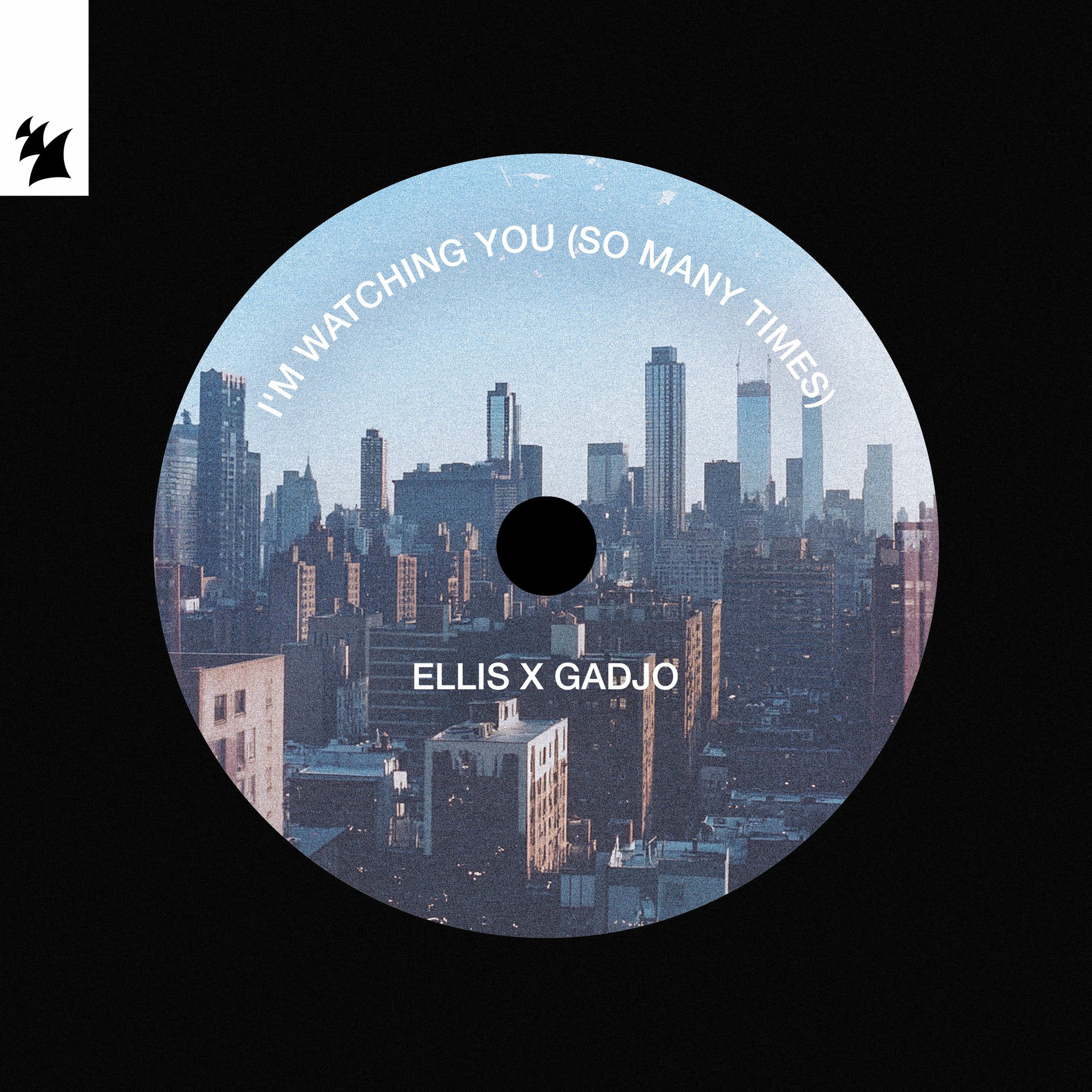 Album cover of I'm Watching You (So Many Times)