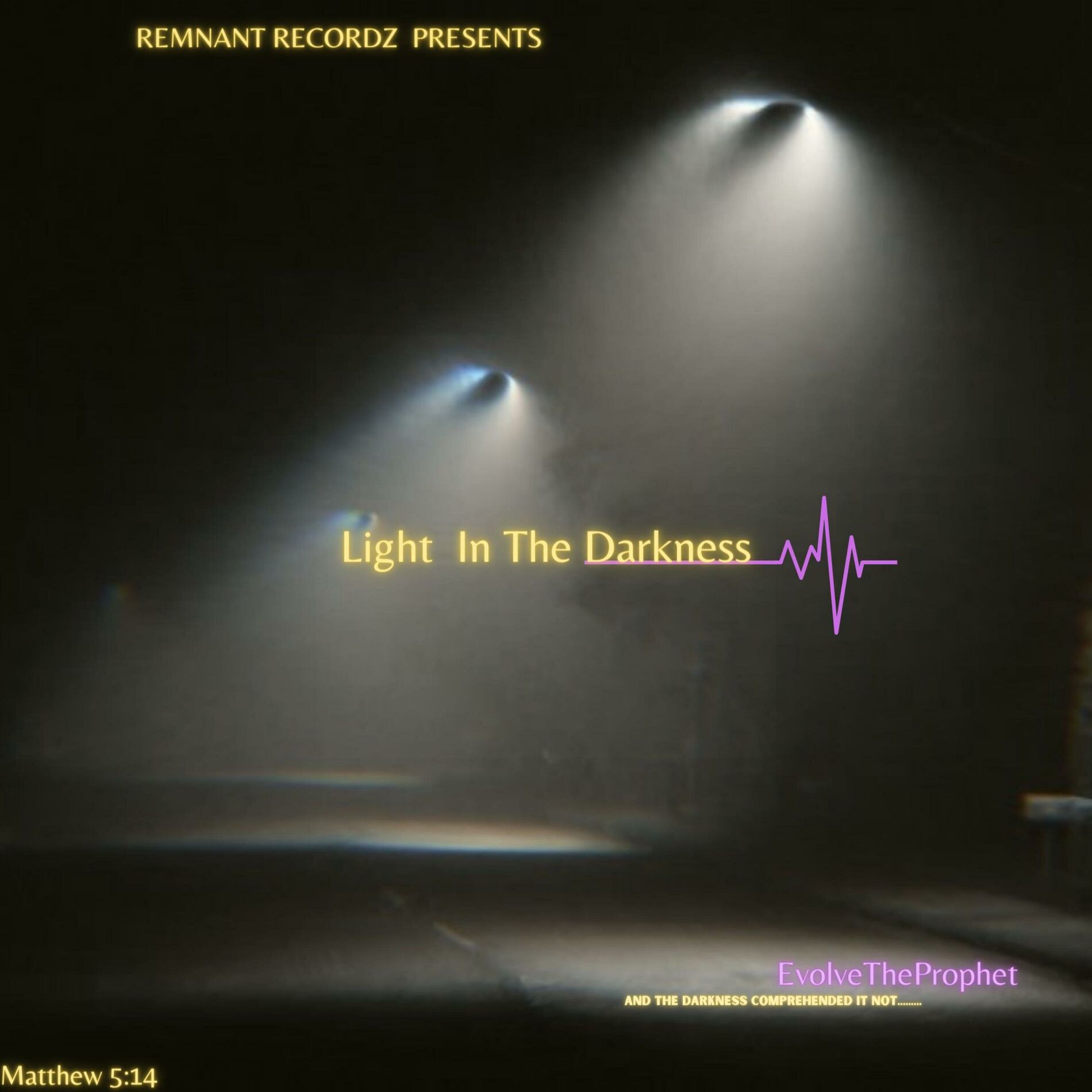 Album cover of Light in the Darkness