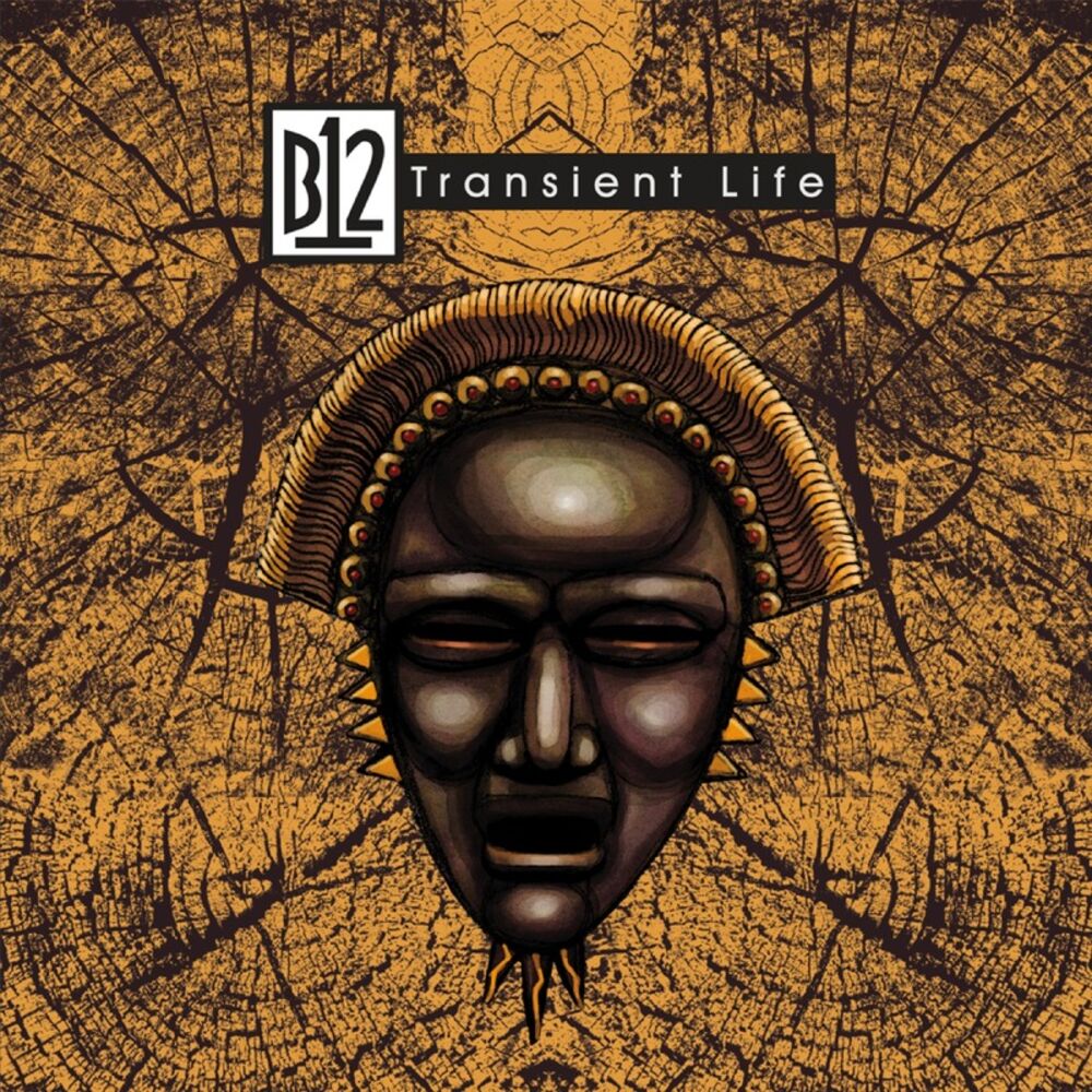 Picture of Transient Life