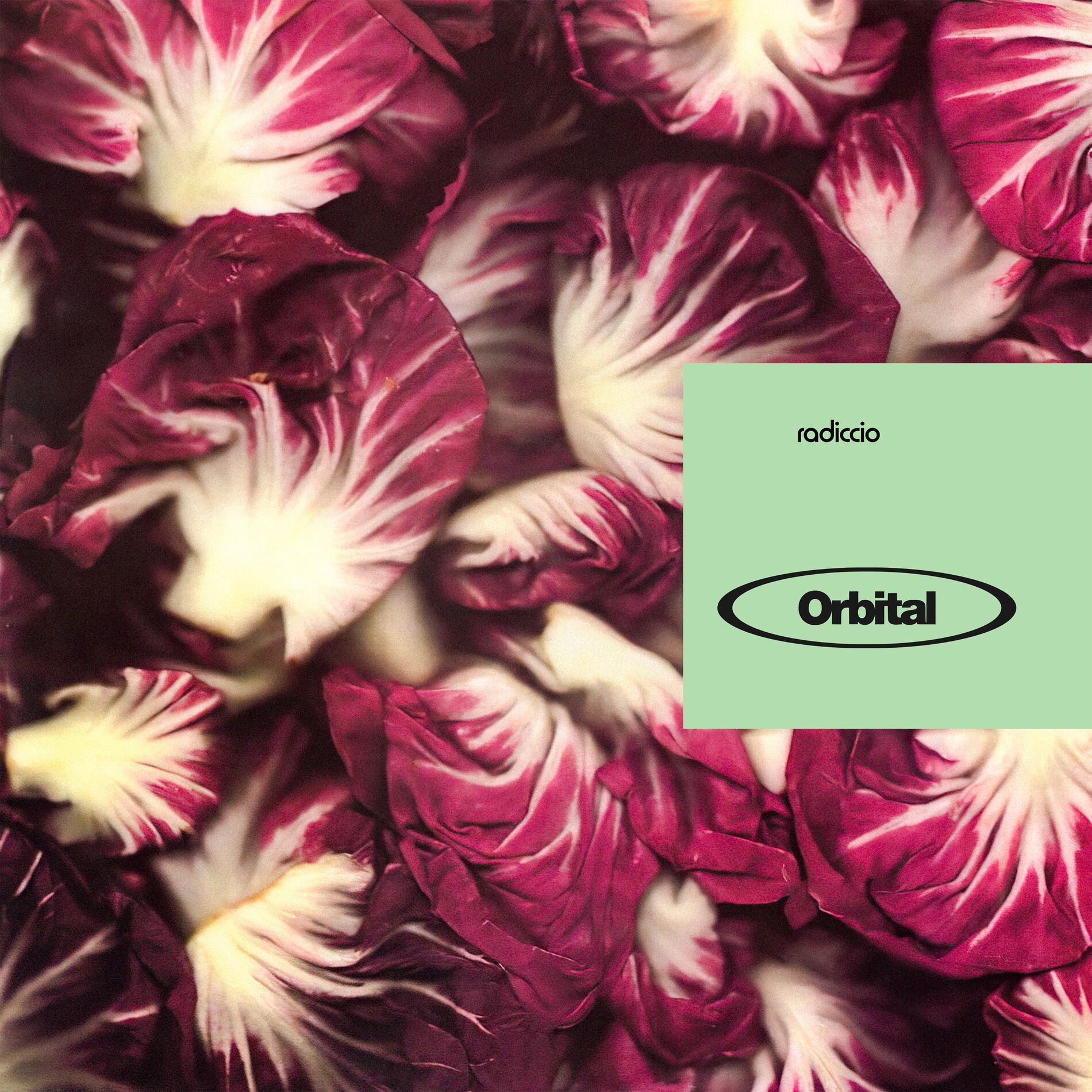 Album cover of Halcyon