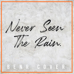 Cover of Never Seen The Rain
