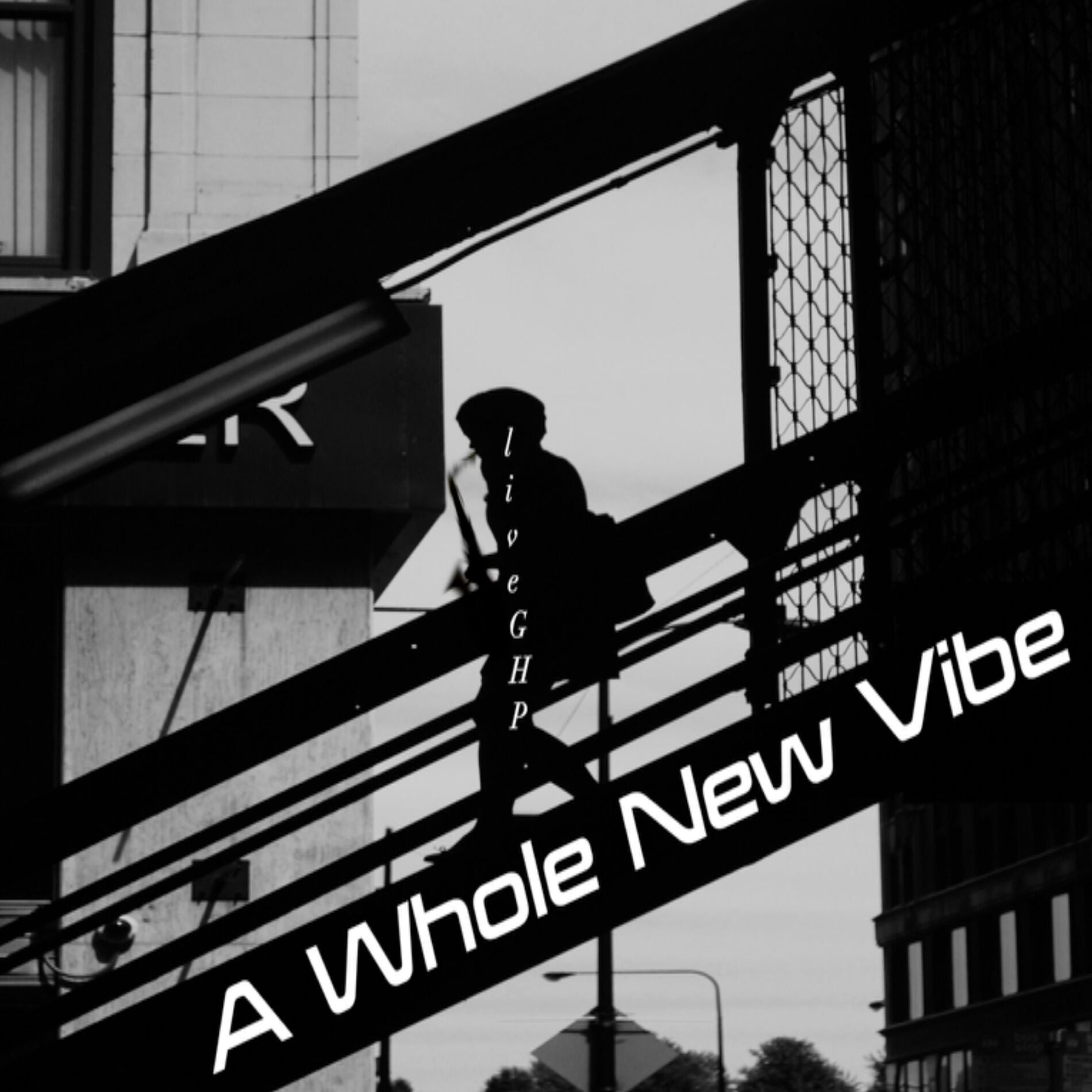 Album cover of A Whole New Vibe