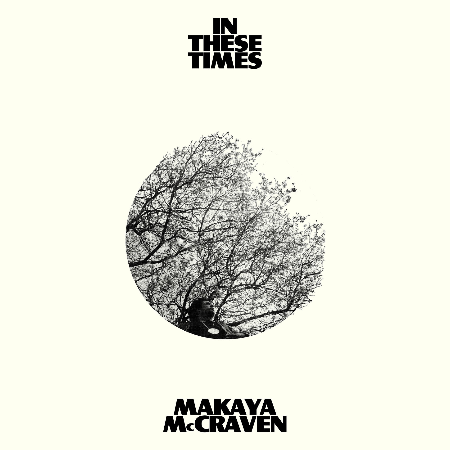 Album cover of In These Times