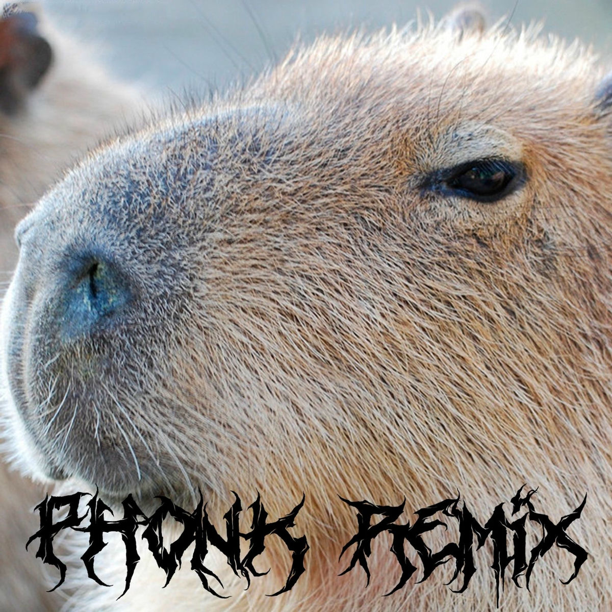 Album cover of Capybara