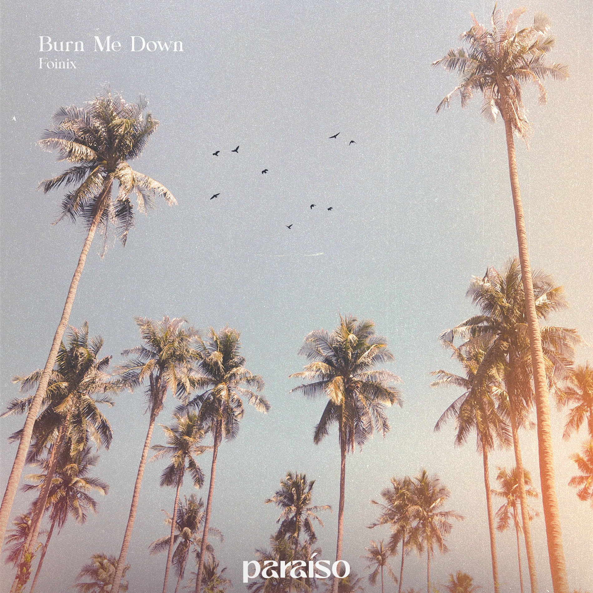 Album cover of Burn Me Down