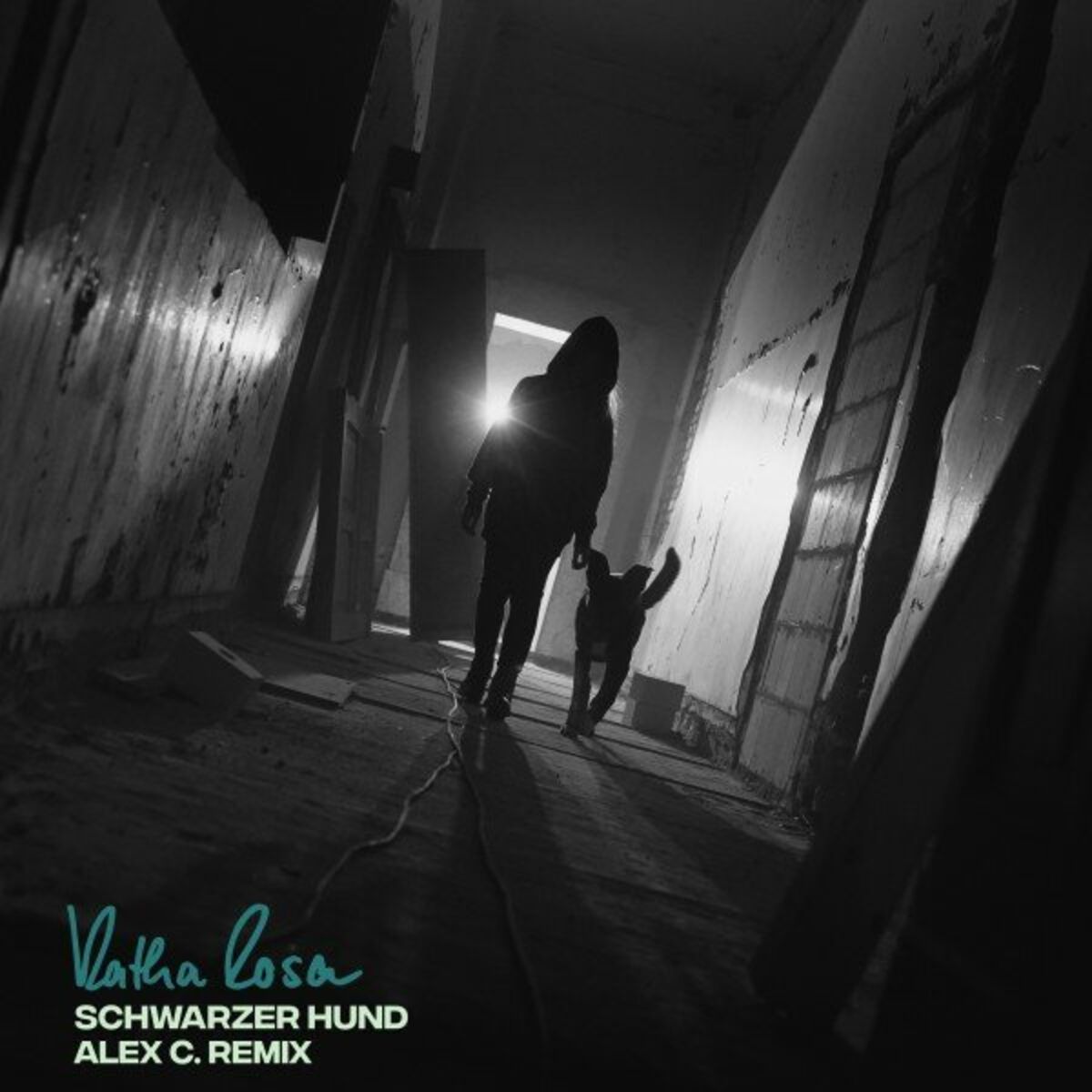 Album cover of Schwarzer Hund