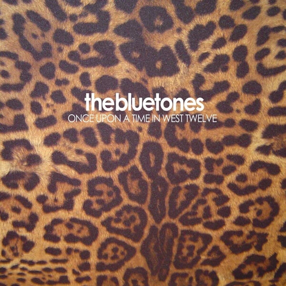 Album cover of Marblehead Johnson