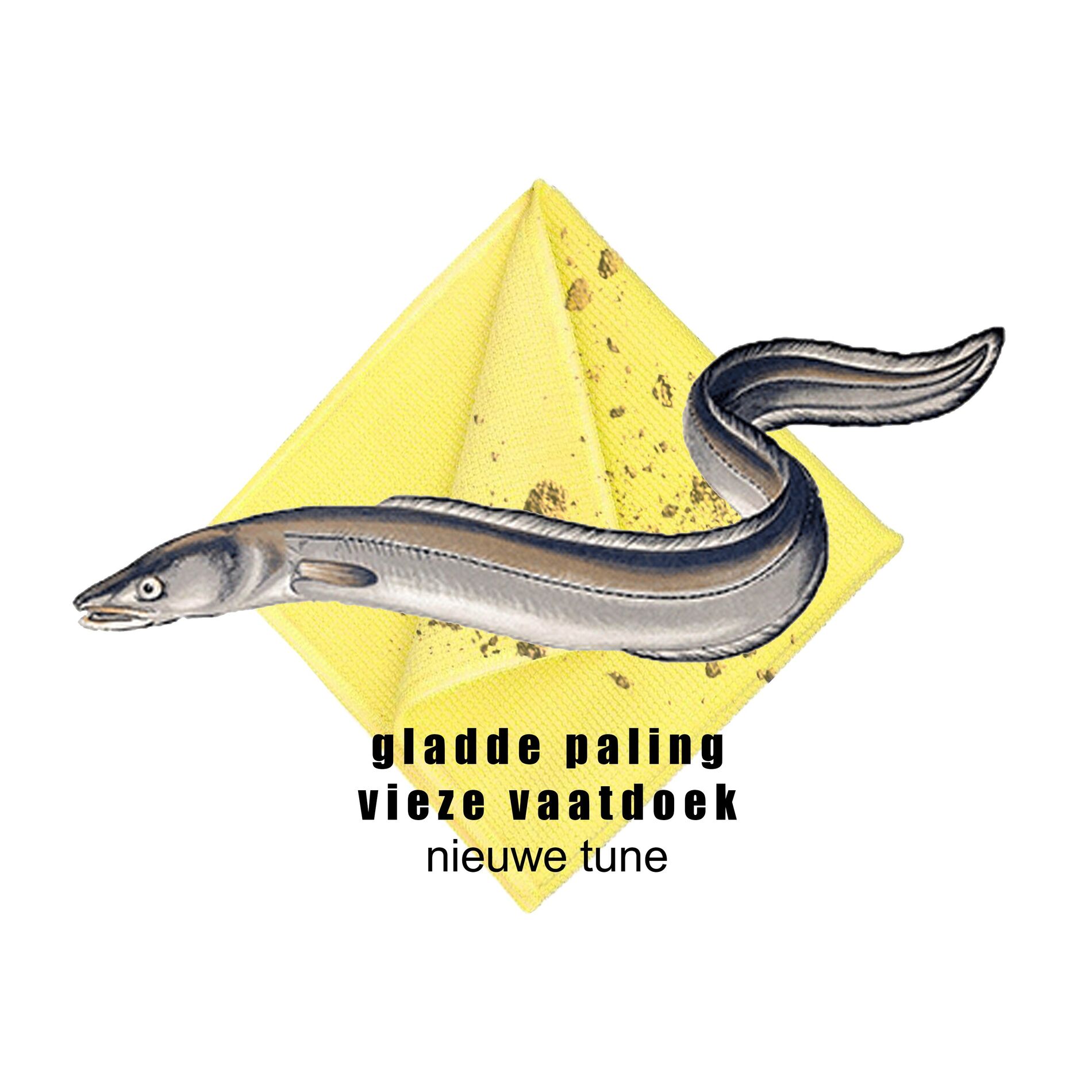 Album cover of nieuwe tune