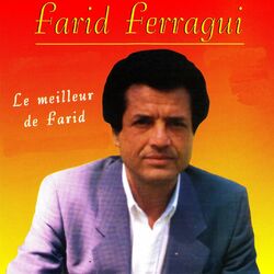 Cover of Le meilleur de Farid