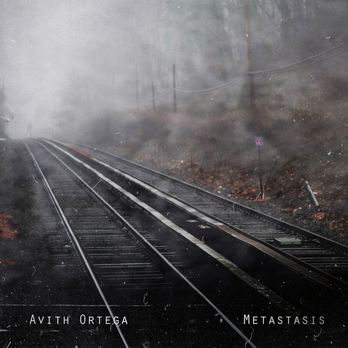 Album cover of Metastasis