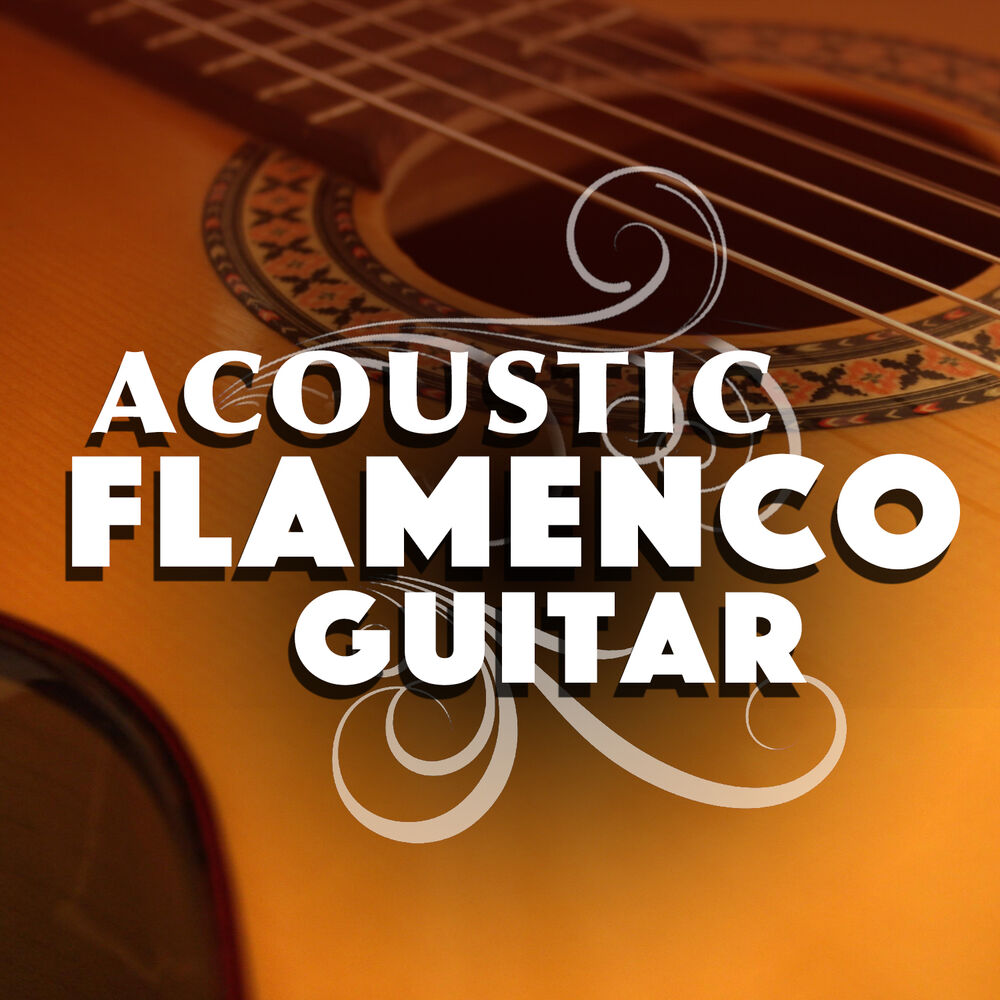 Picture of Acoustic Flamenco Guitar