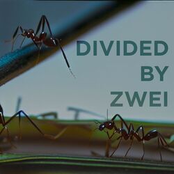 Cover of divided by zwei