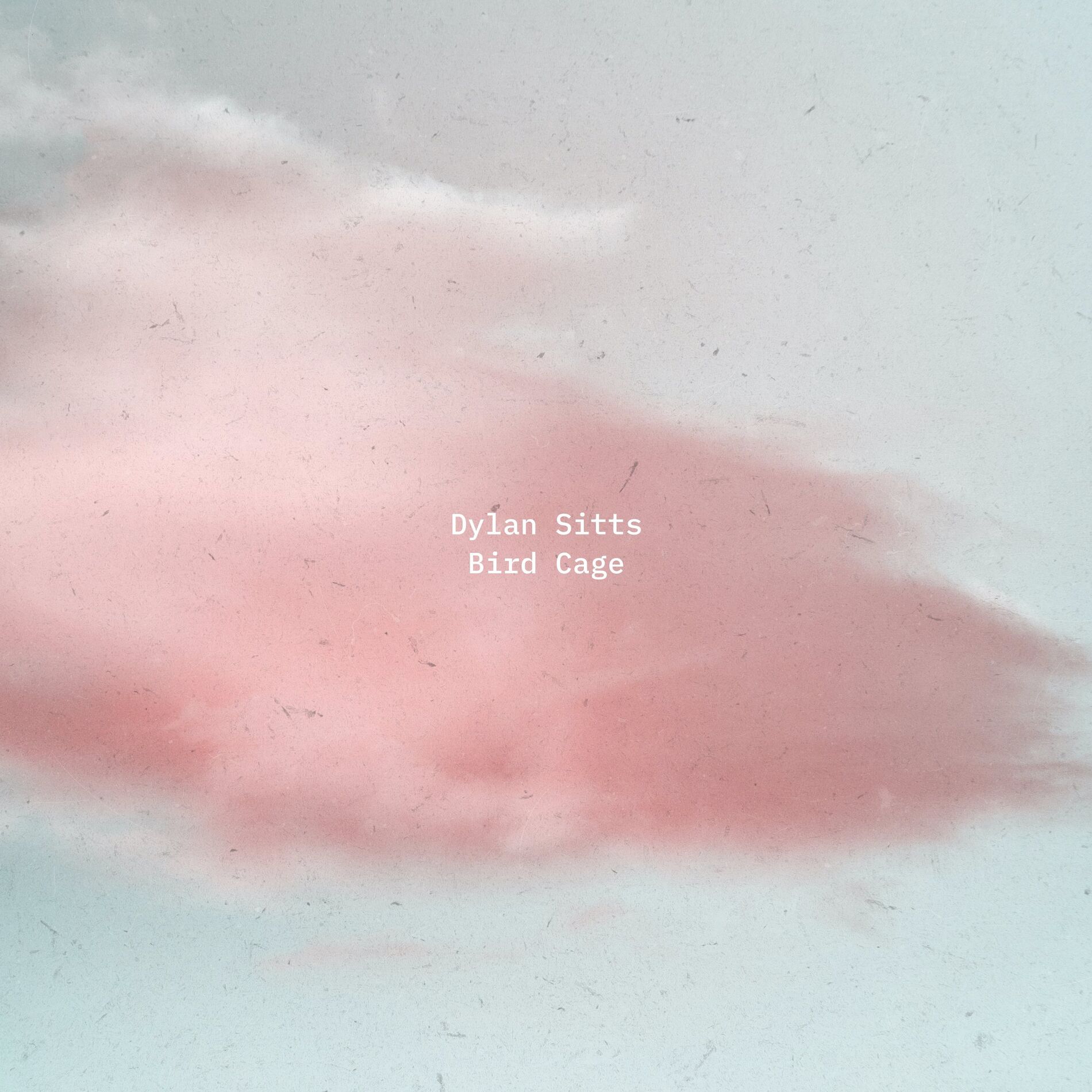 Album cover of Bird Cage