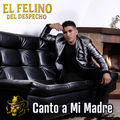 Canto a Mi Madre
