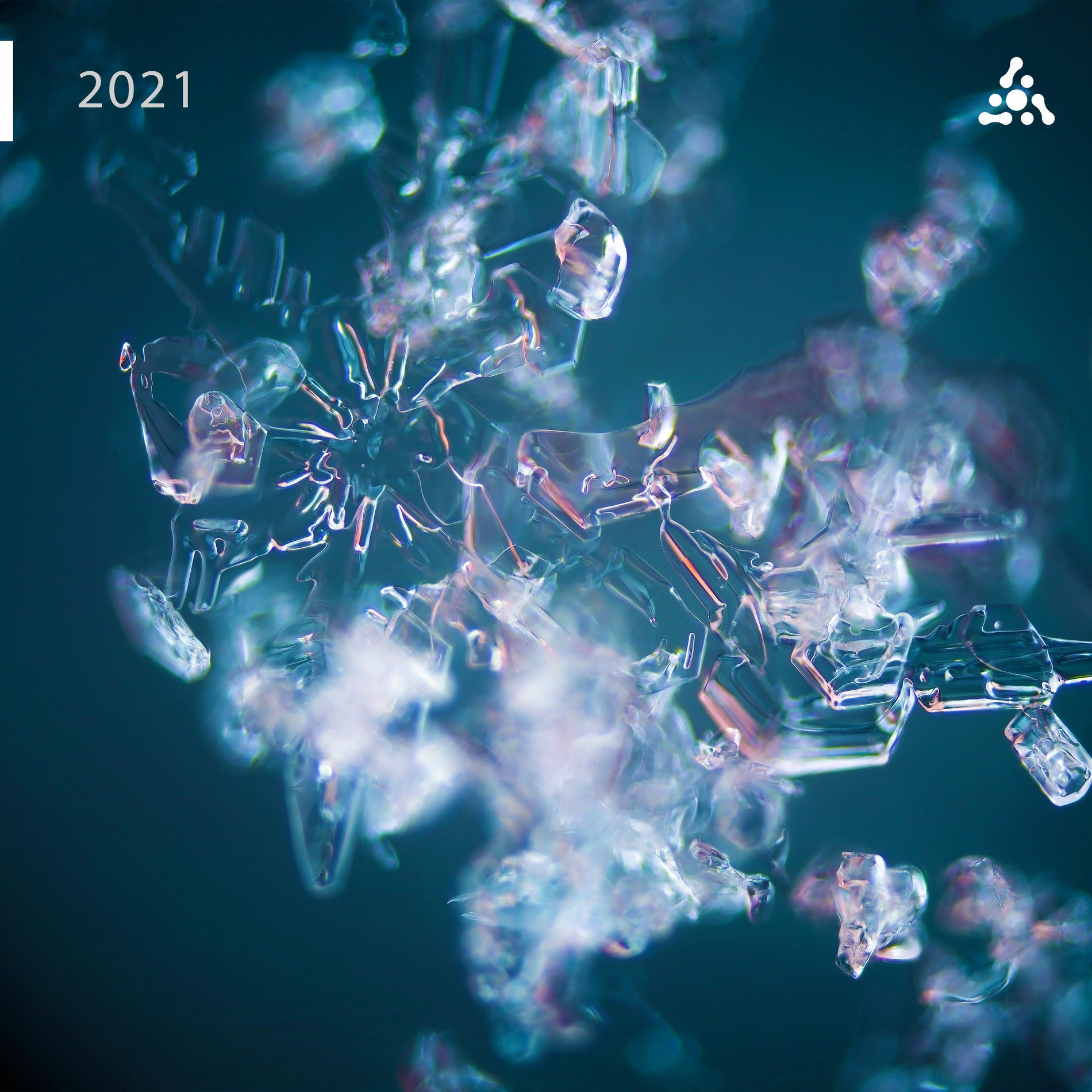 Album cover of Hidden Ecosphere