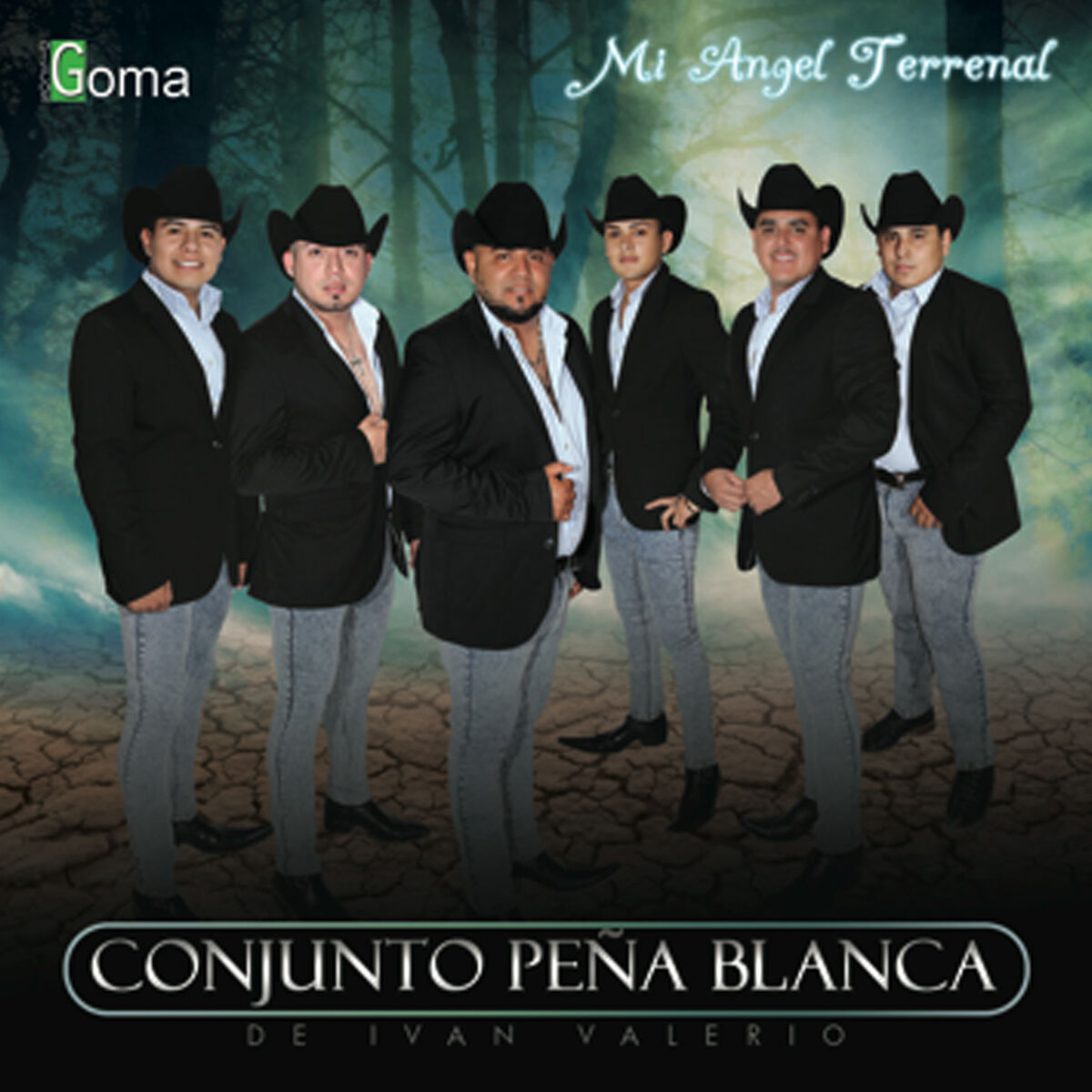 Album cover of Otro Dia Mas Sin Verte