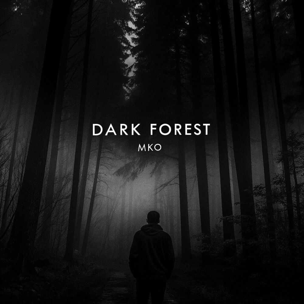 Picture of Dark Forest