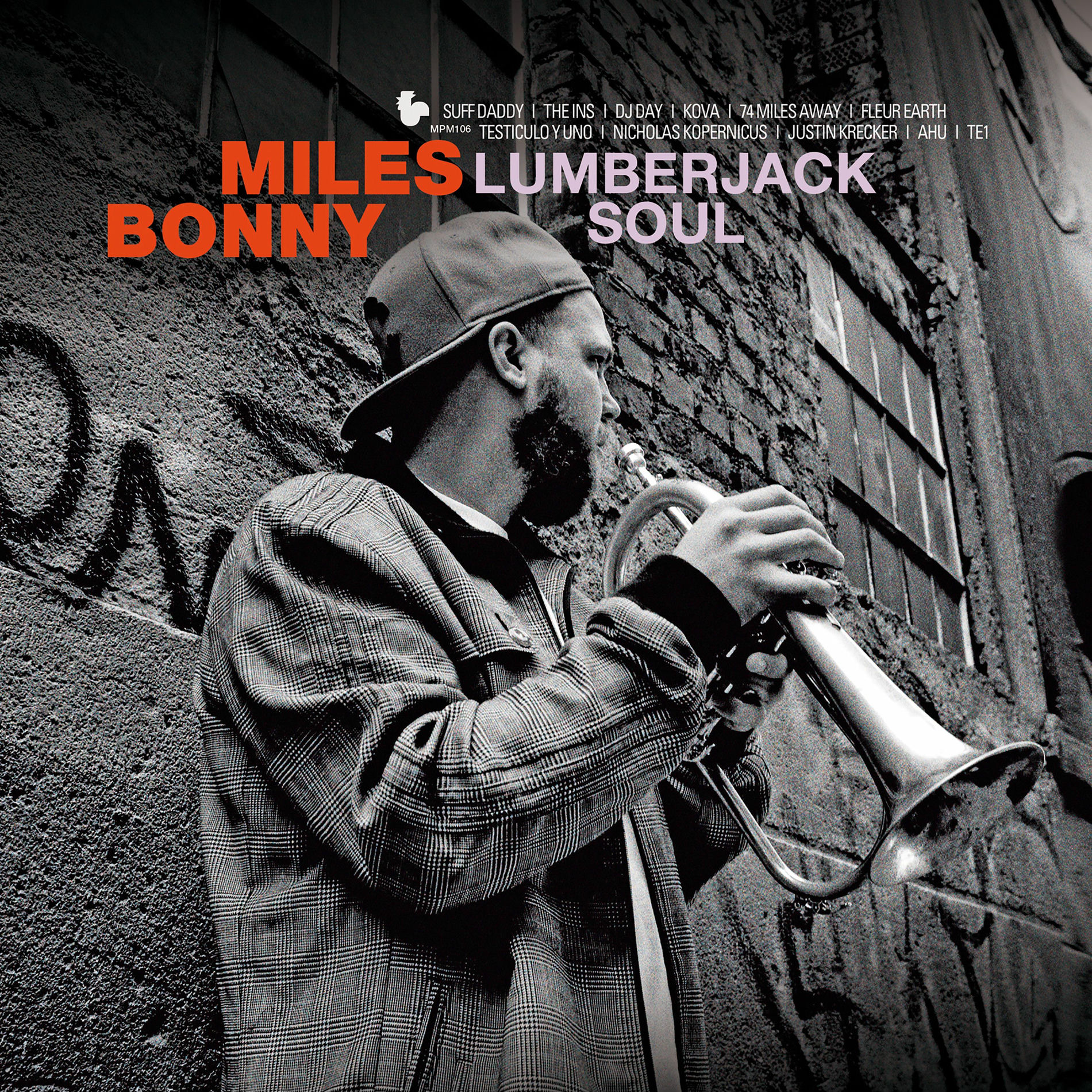 Album cover of Lumberjack Soul