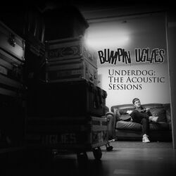 Cover of Underdog: The Acoustic Sessions