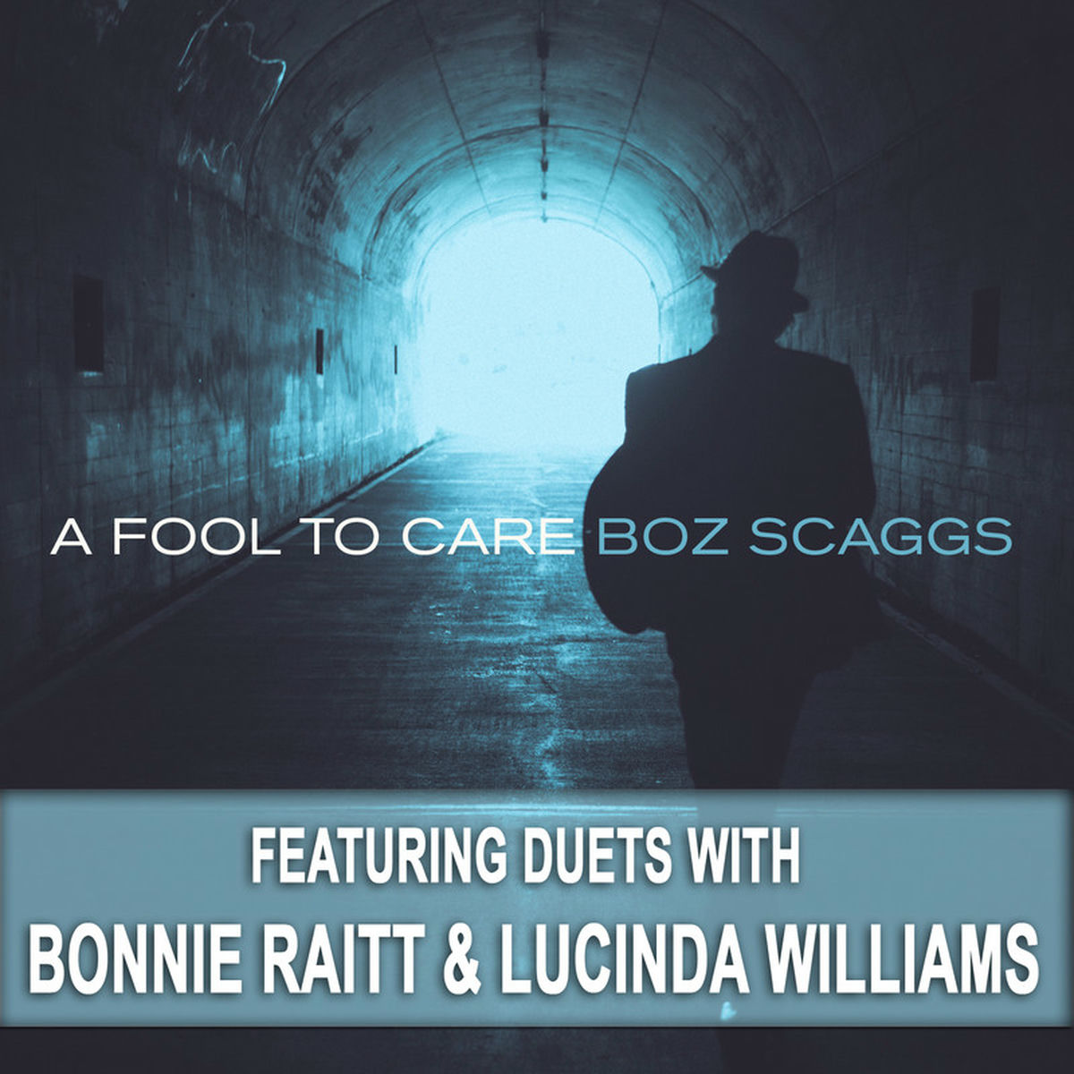 Album cover of A Fool to Care