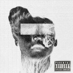 Cover of had to die