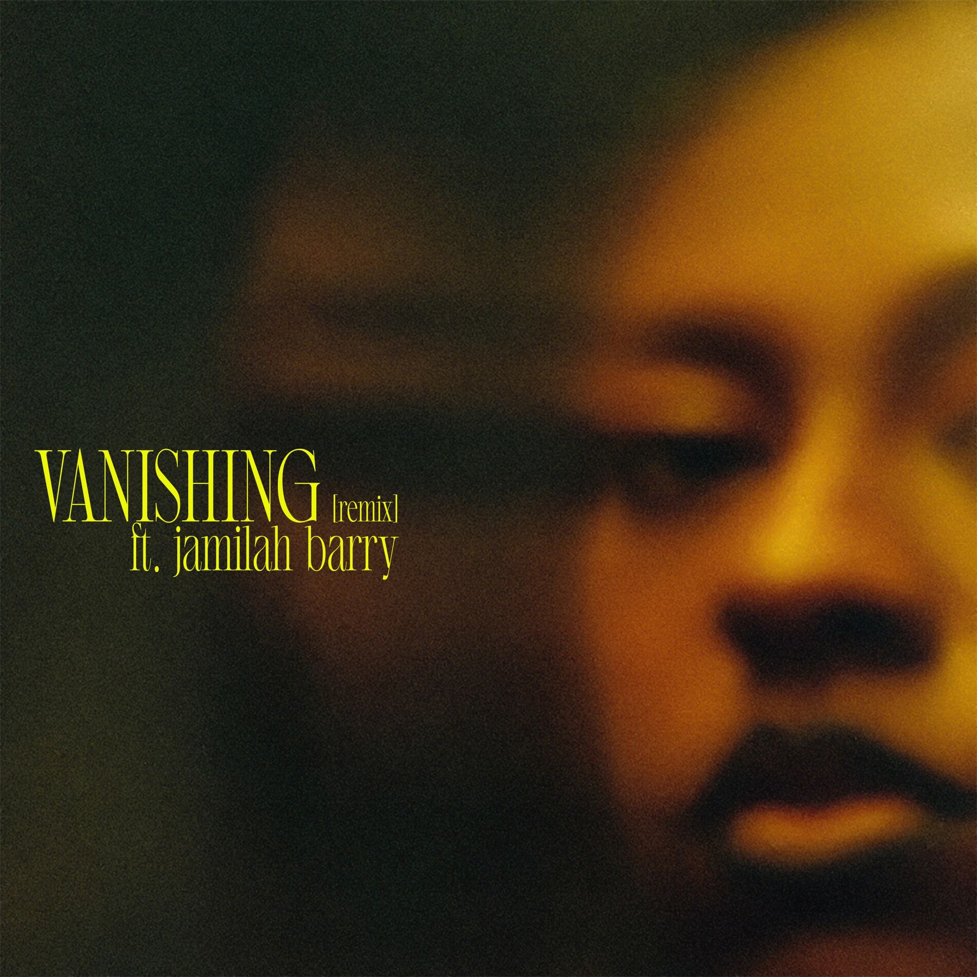 Album cover of vanishing . (remix) [feat. Jamilah Barry]