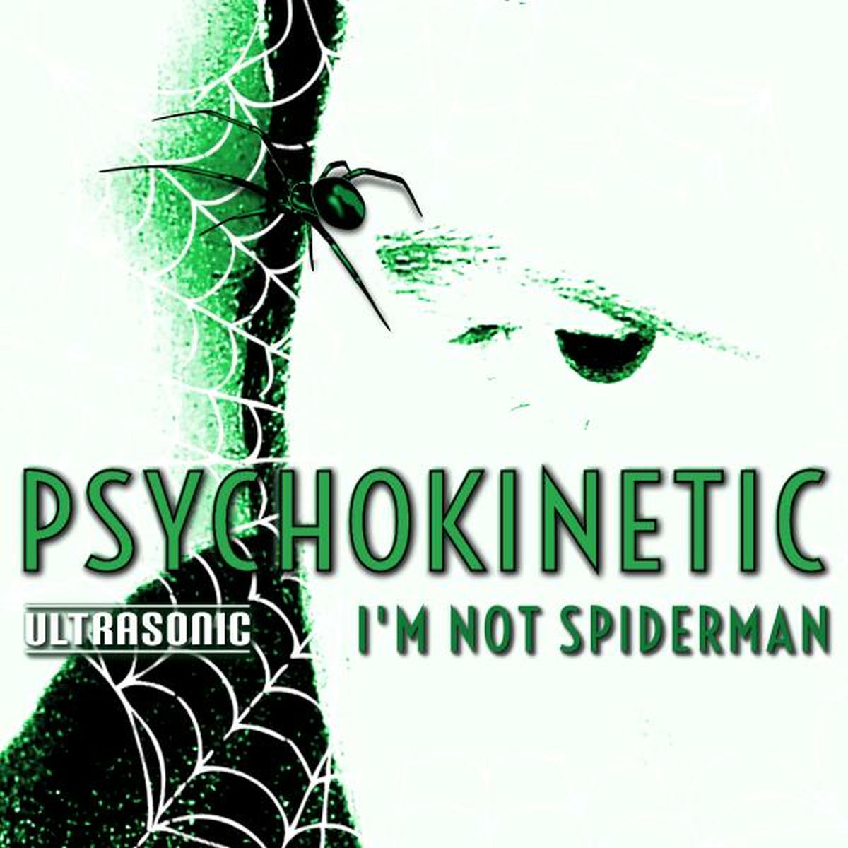Album cover of I'm Not Spiderman