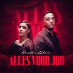 Cover of Alles Voor Jou